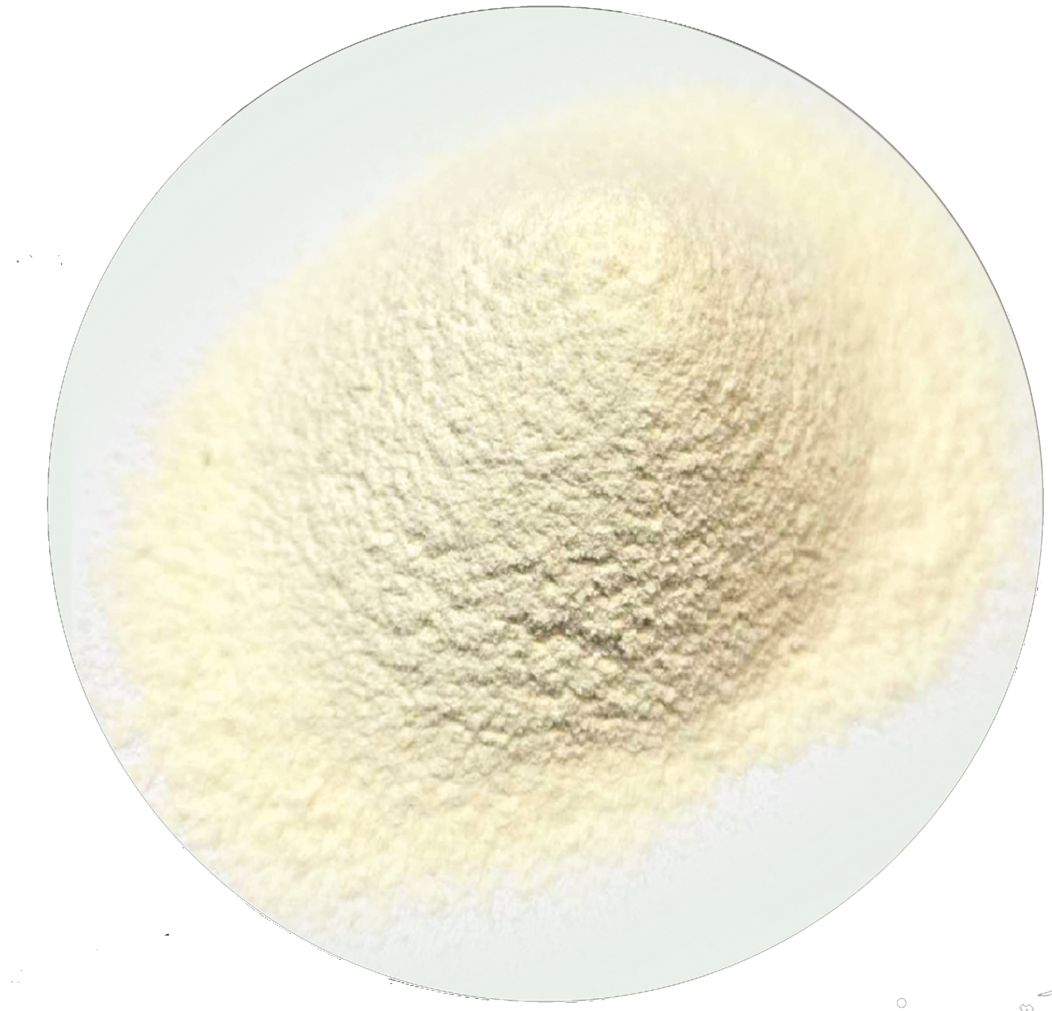 Batter