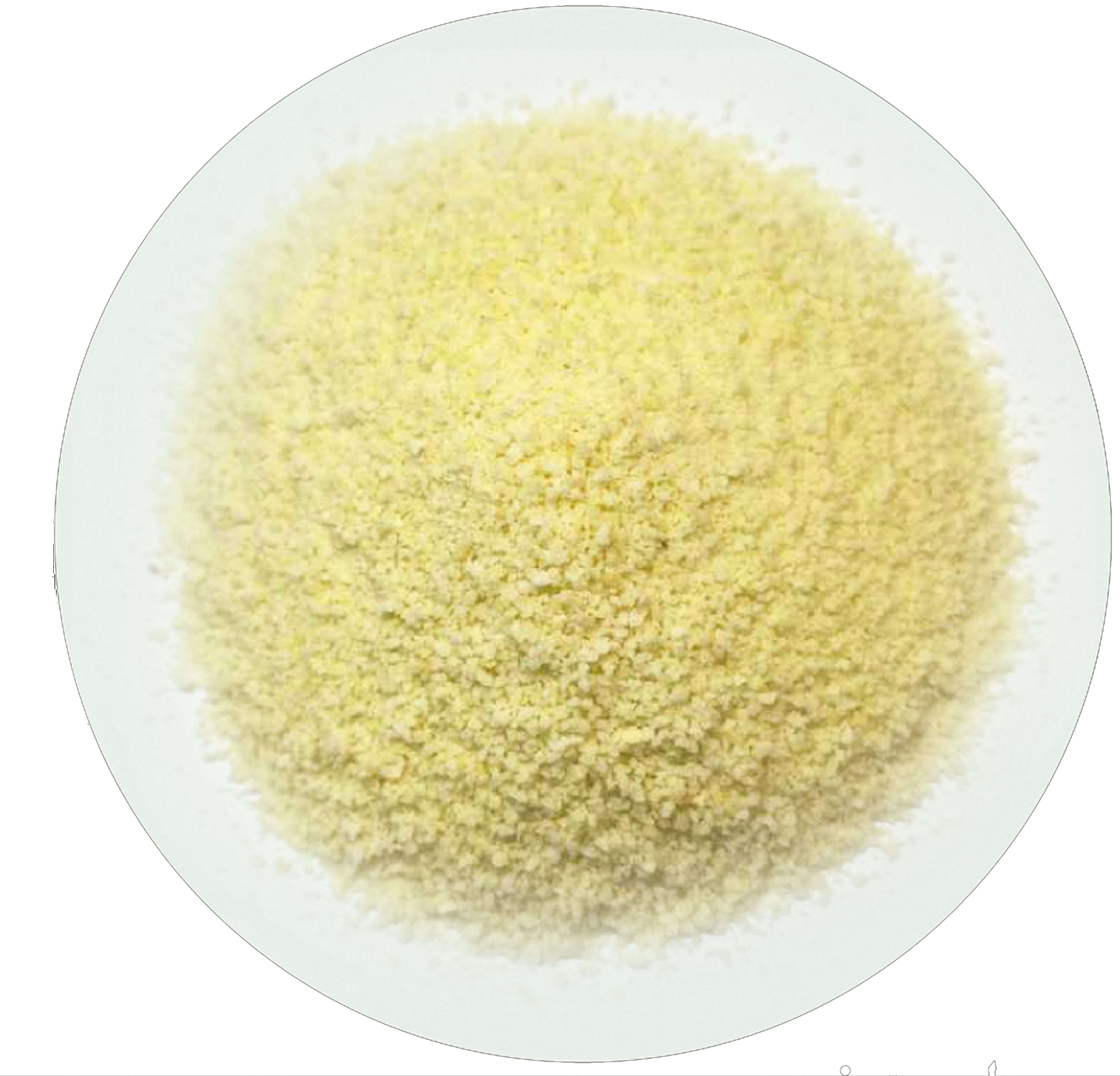 Predust