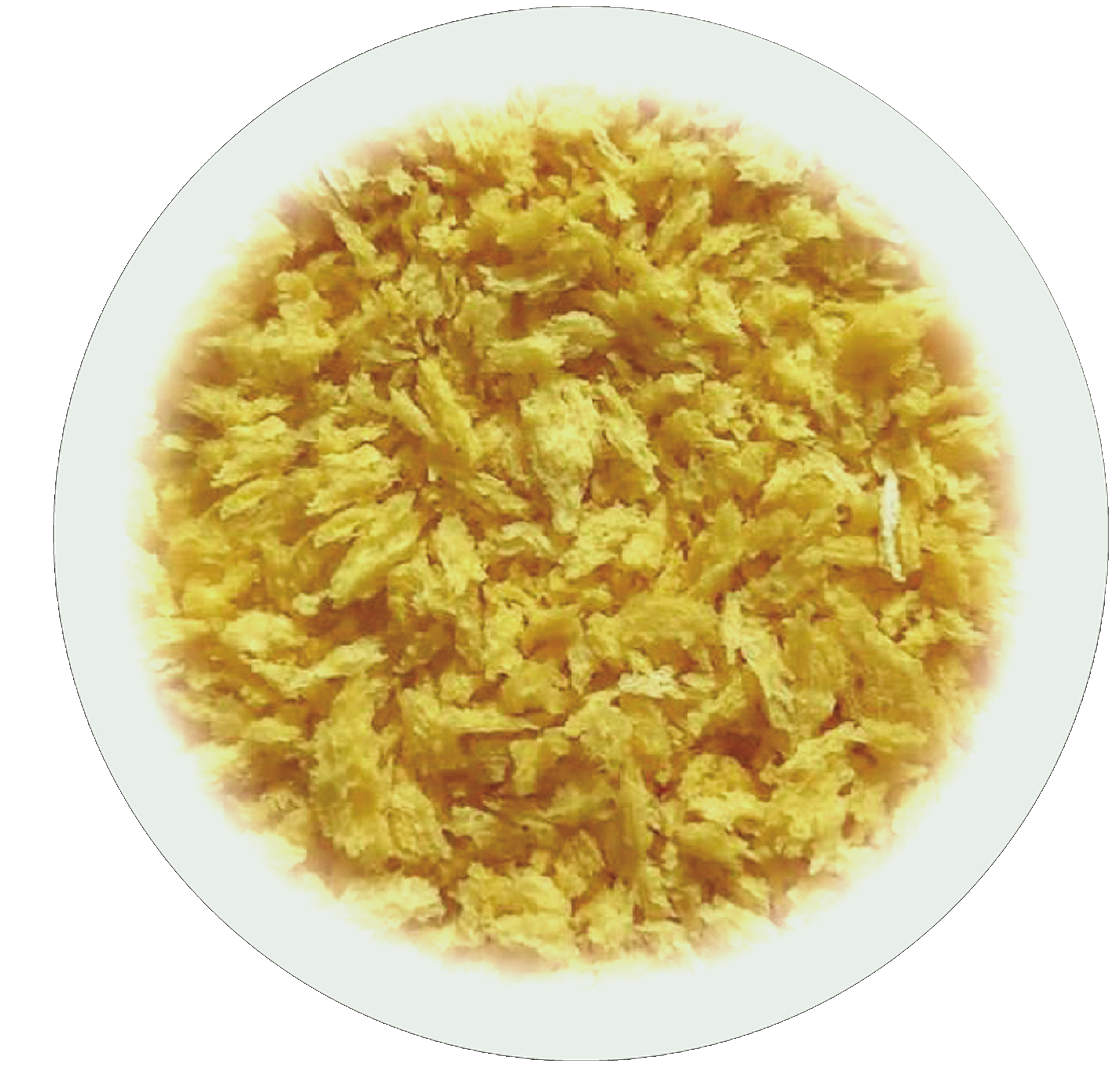 Japanese-Style Breadcrumbs – Panko (Coating Grade)